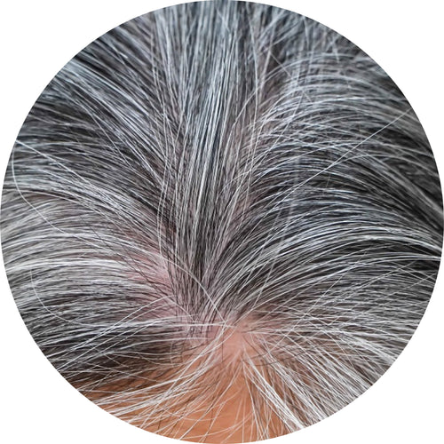 Herbal Hair for Premature Greying