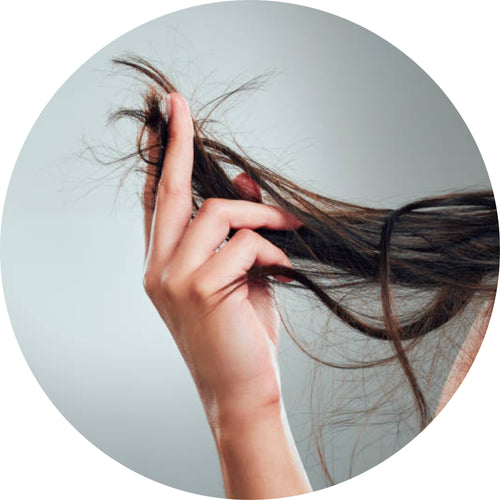 Hair Oil for Split Ends and Breakage