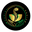 Best Ayurvedic Hair & Skin Care logo